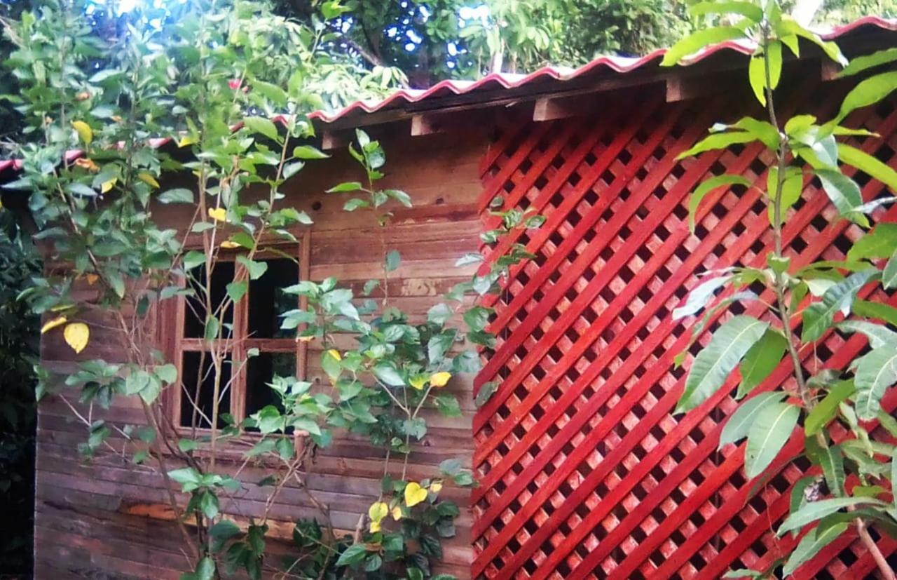Soul Fire Casitas Hotel Montezuma Exterior photo